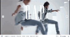Desktop Screenshot of gapksa.com